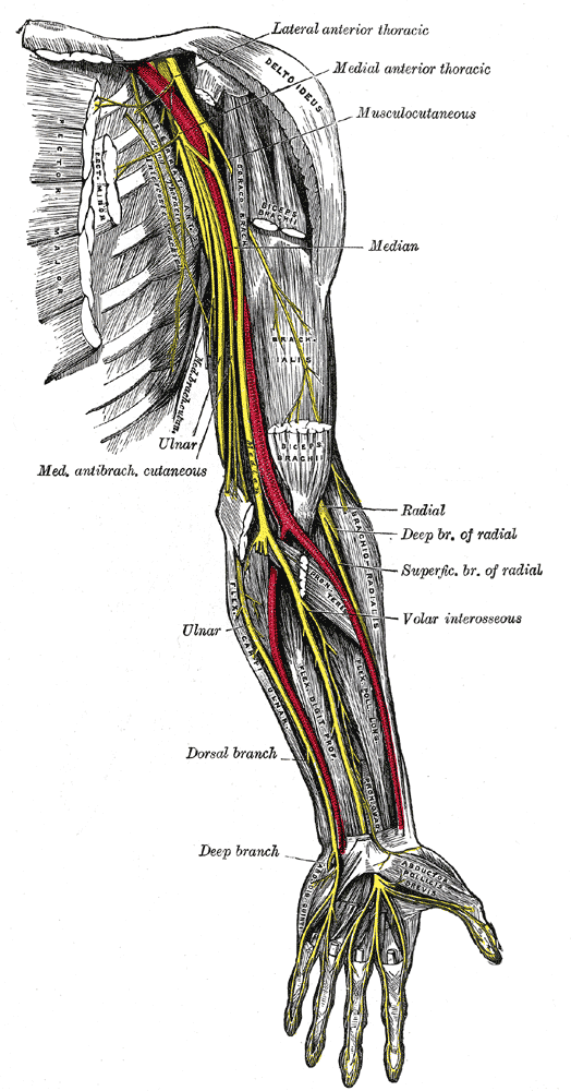 découvrez nos conseils essentiels pour soulager un muscle coincé. apprenez des techniques d'étirement, de relâchement musculaire et des méthodes préventives pour retrouver votre mobilité et votre confort.